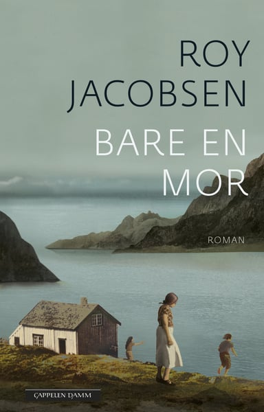 Omslag av "Bare en mor"