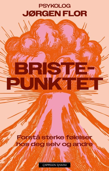 Omslag av "Bristepunktet"