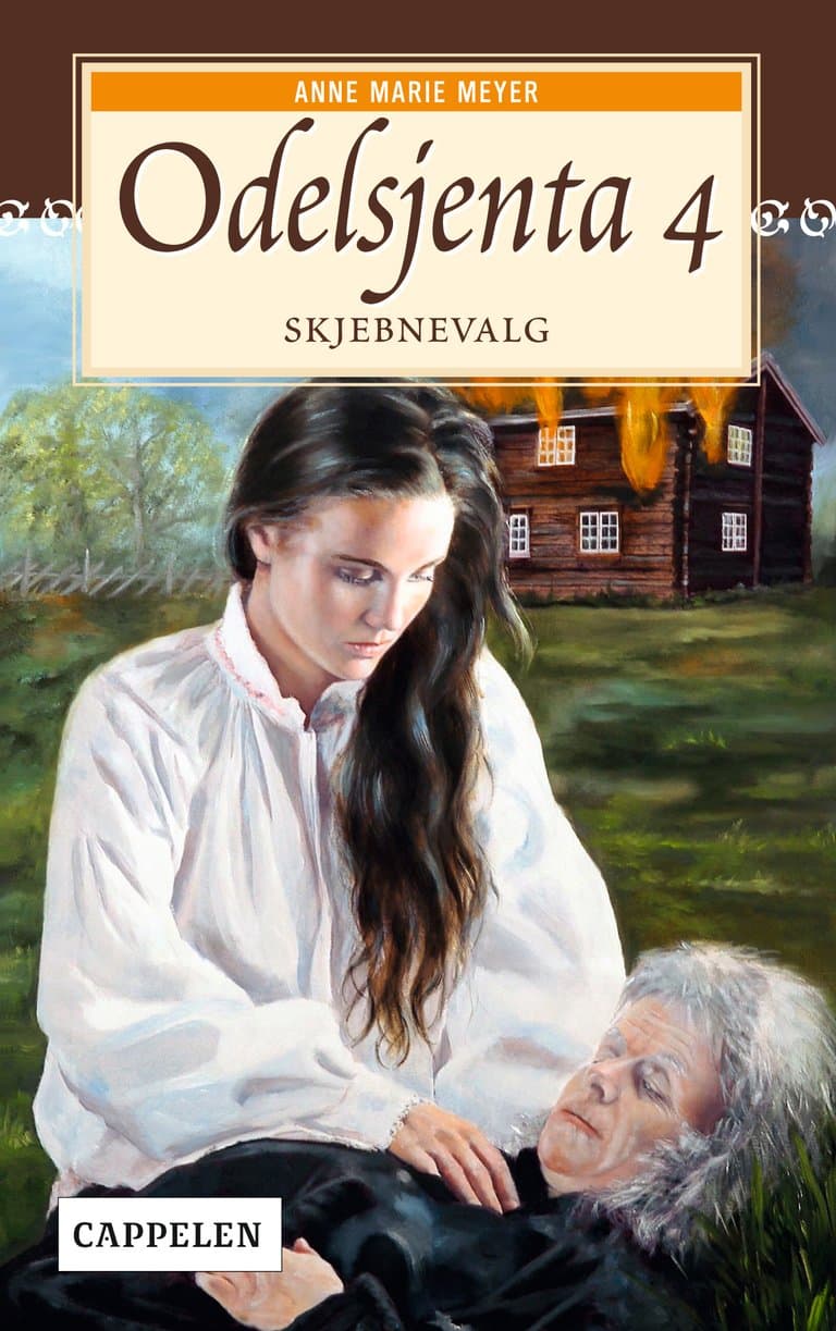 Omslag Skjebnevalg av Anne Marie Løvlie Meyer (Heftet)