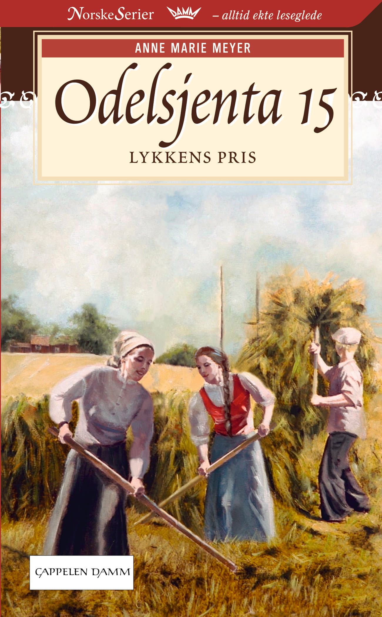 Omslag Lykkens pris av Anne Marie Meyer (Ebok)