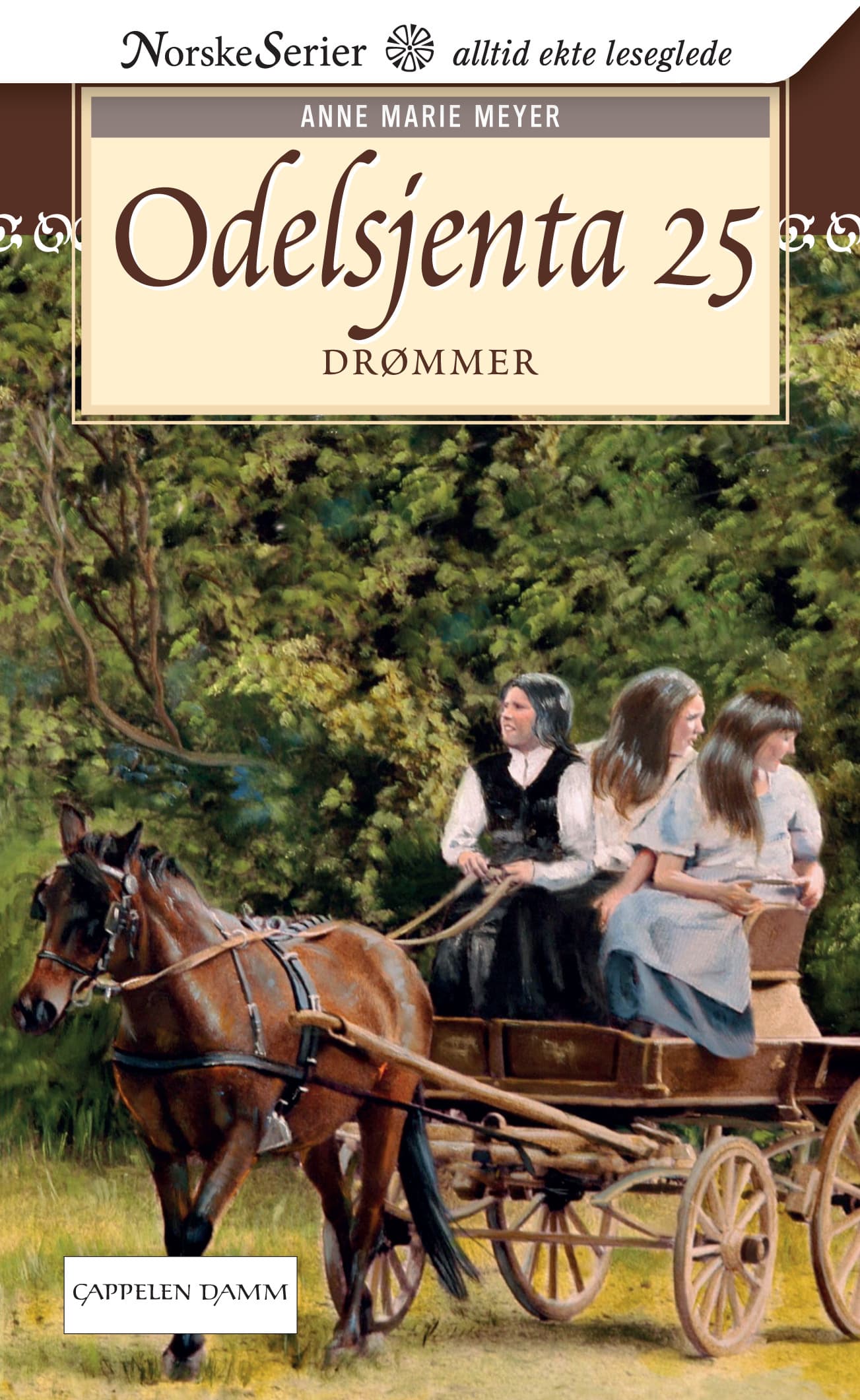 Omslag Drømmer av Anne Marie Løvlie Meyer (Ebok)