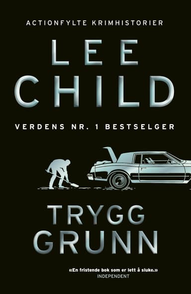 Trygg grunn