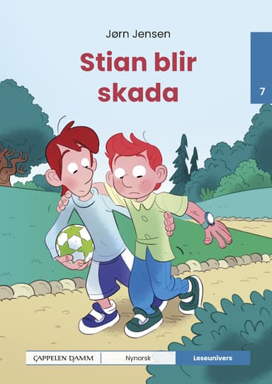 Leseunivers 7: Stian blir skada