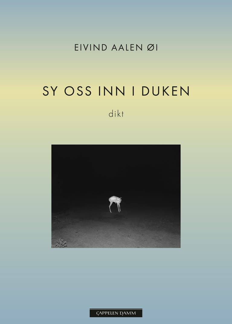 Omslag Sy oss inn i duken av Eike Aalen Øi (Ebok)