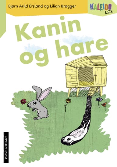 Kaleido Les Nivå 3 Kanin og hare