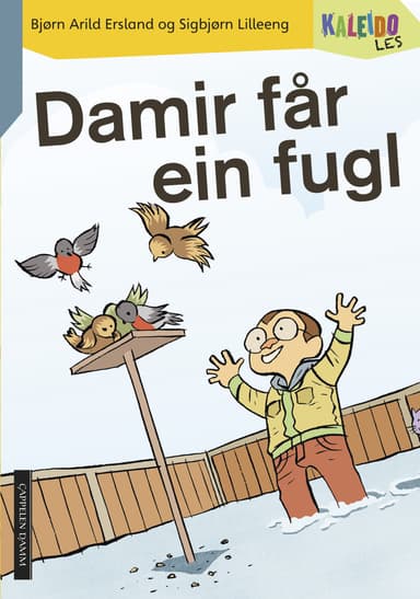 Kaleido Les Nivå 3 Damir får ein fugl