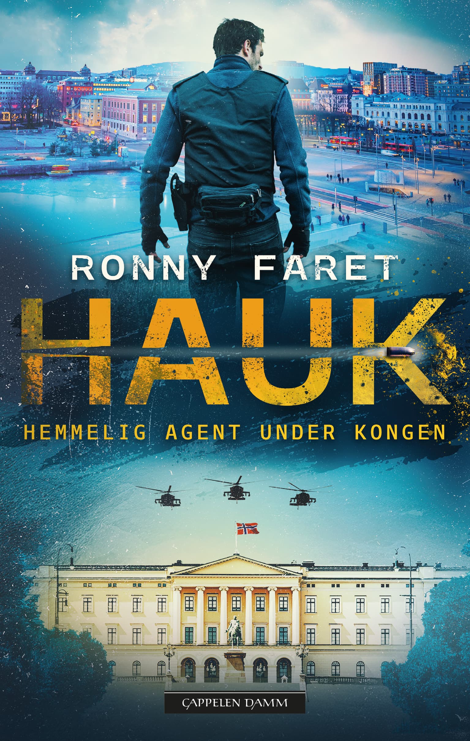 Omslag HAUK av Ronny Faret (Innbundet)
