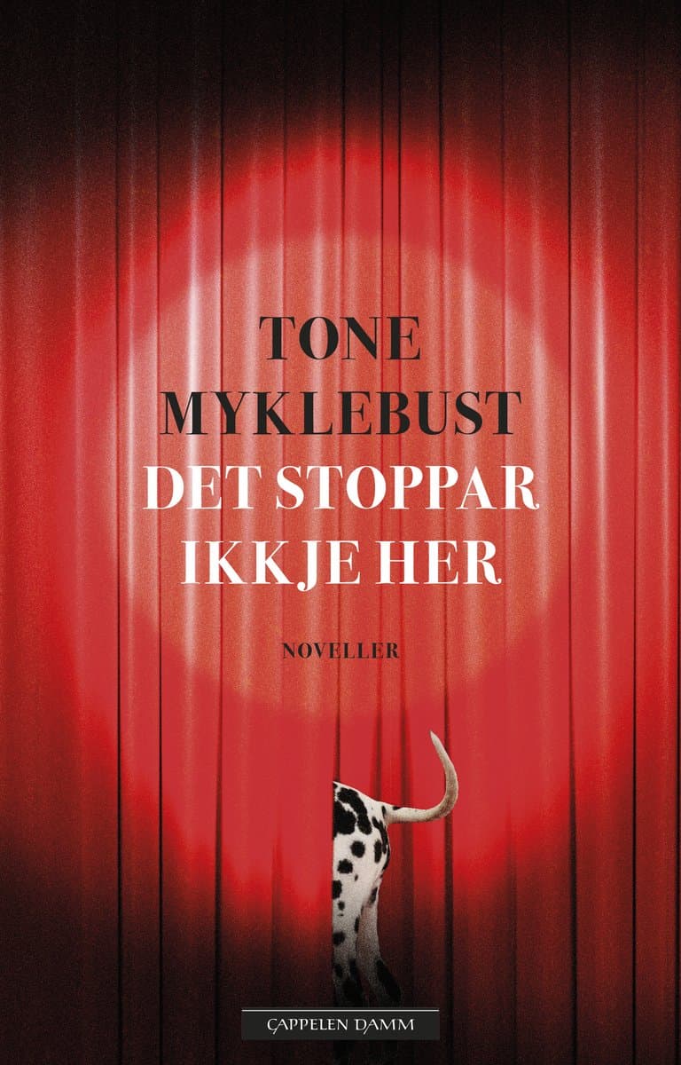 Omslag Det stoppar ikkje her av Tone Myklebust (Ebok)