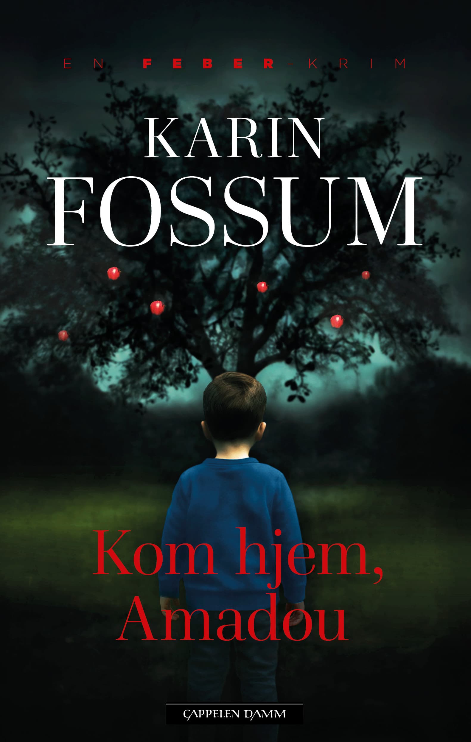 Omslag Kom hjem, Amadou av Karin Fossum (Innbundet)
