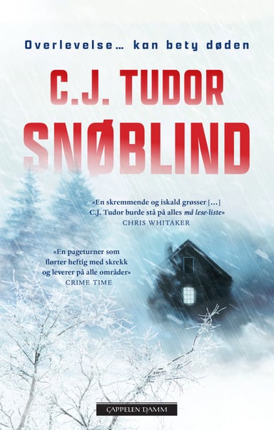 Omslag av "Snøblind"
