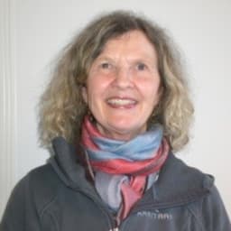 Bidragsyter Ingvild Aune