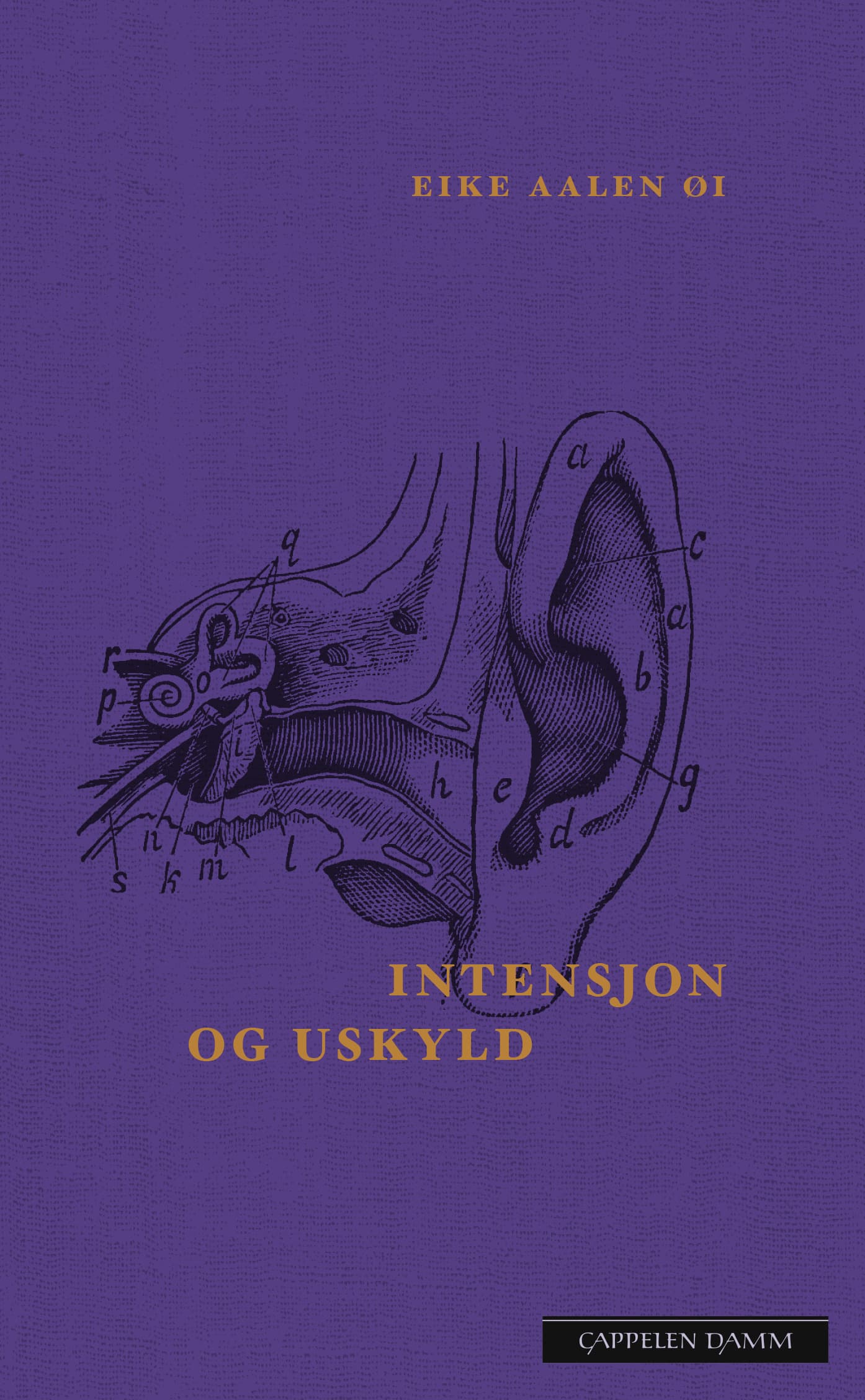 Omslag Intensjon og uskyld av Eike Aalen Øi (Innbundet)