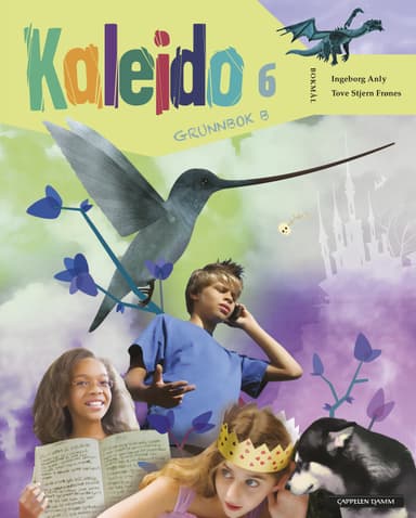 Kaleido 6 Grunnbok B