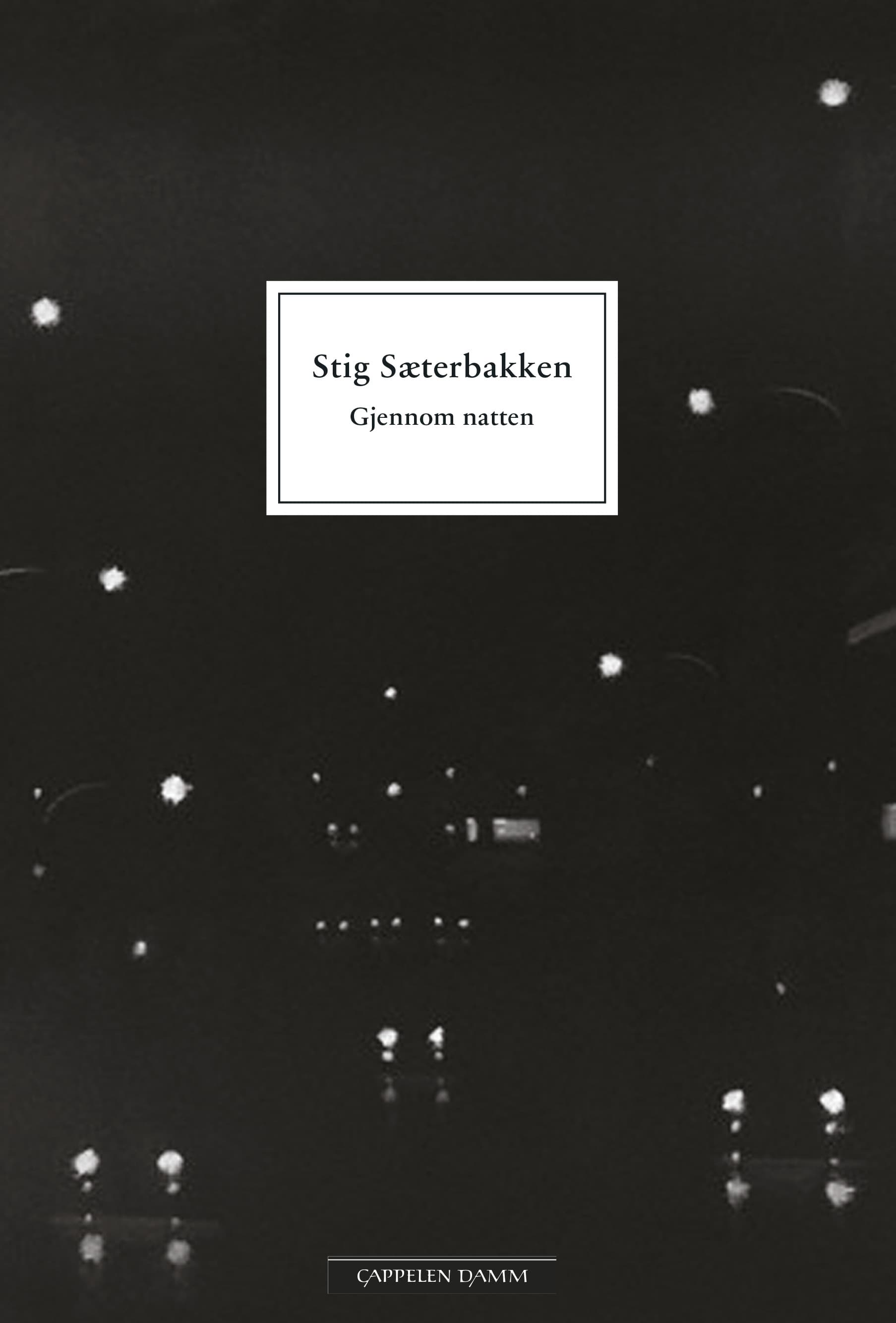 Omslag Gjennom natten av Stig Sæterbakken (Heftet)