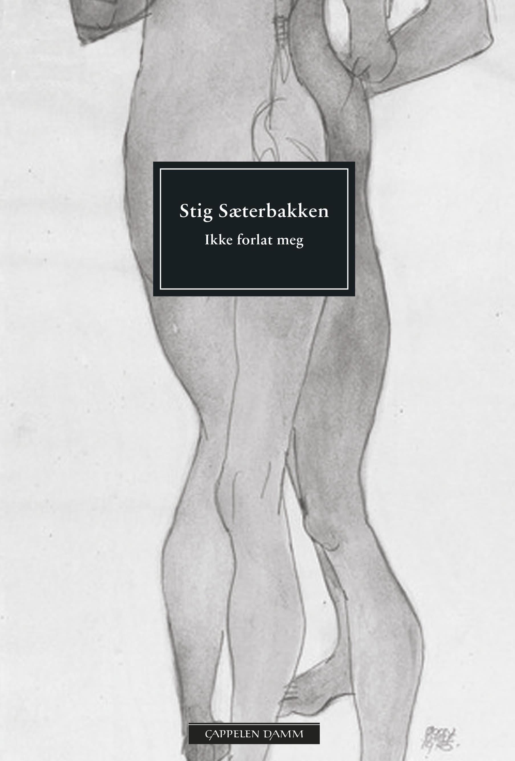 Omslag Ikke forlat meg av Stig Sæterbakken (Heftet)
