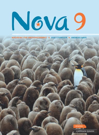 Nova 9 Elevbok