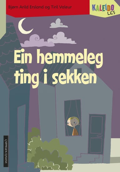 Omslag av "Kaleido Les Nivå 4 Ein hemmeleg ting i sekken"