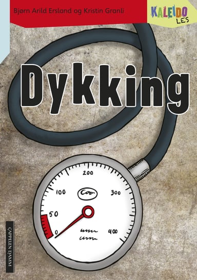 Omslag av "Kaleido Les Nivå 4 Dykking"