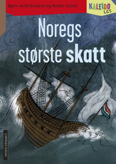 Omslag av "Kaleido Les Nivå 4 Noregs største skatt"
