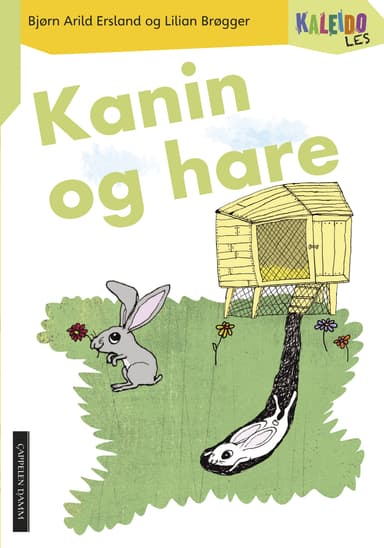 Kaleido Les Nivå 3 Kanin og hare