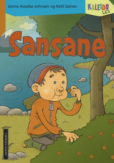 Omslag av "Kaleido Les Nivå 2 Sansane"