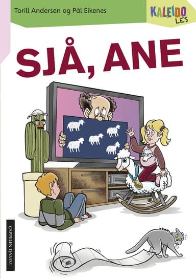 Kaleido Les Nivå 1 Sjå, Ane