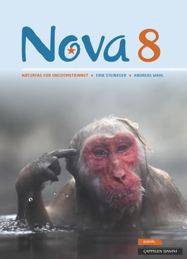 Nova 8 Elevbok