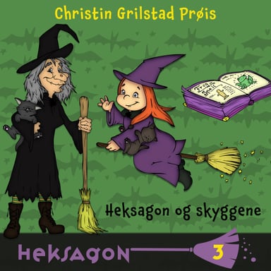 Omslag av "Heksagon og skyggene"