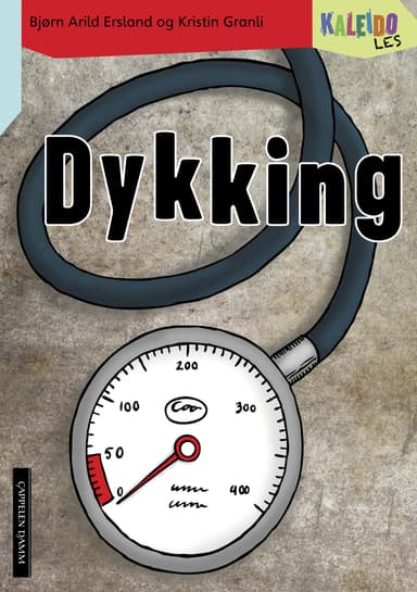 Kaleido Les Nivå 4 Dykking