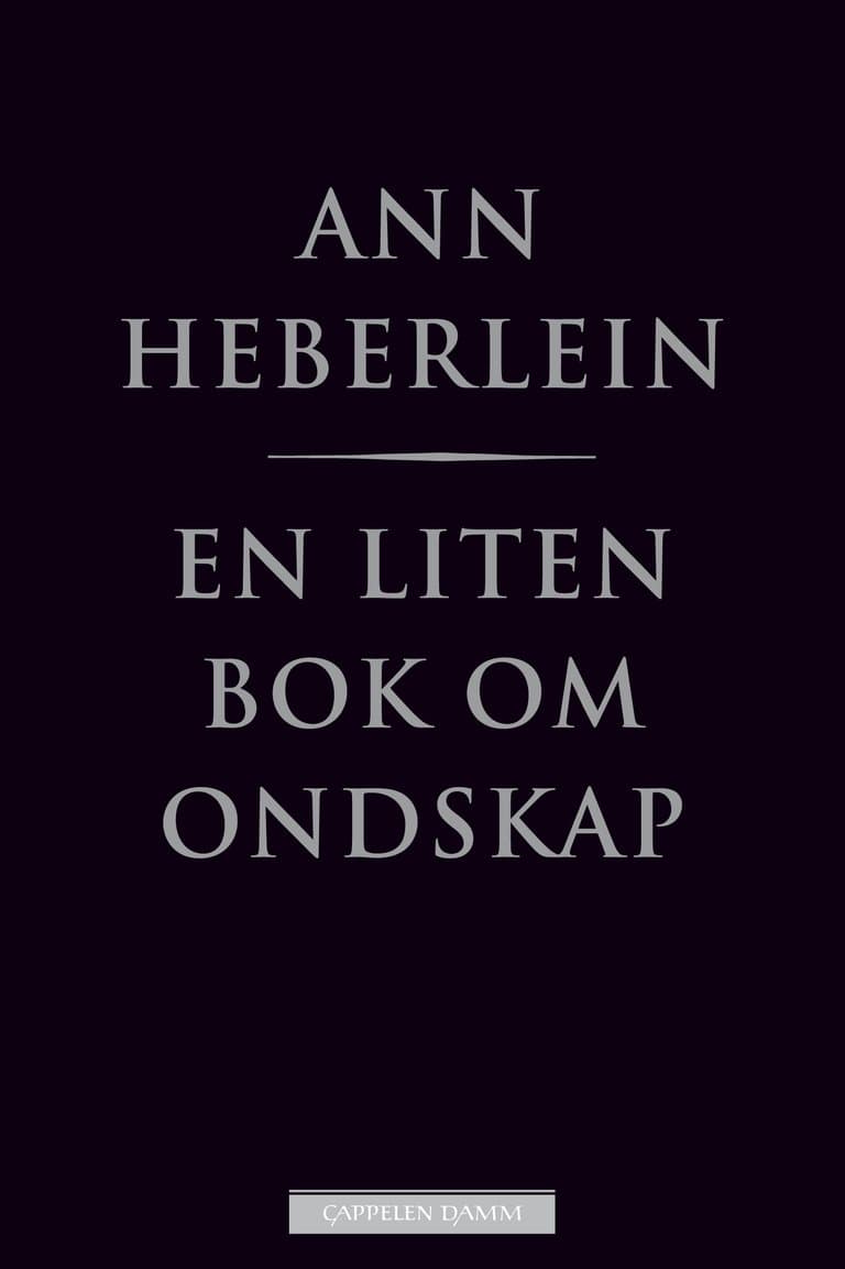 Omslag En liten bok om ondskap av Ann Heberlein (Innbundet)