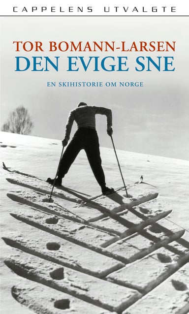 Omslag av "Den evige sne"
