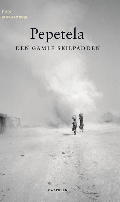 Den gamle skilpadden