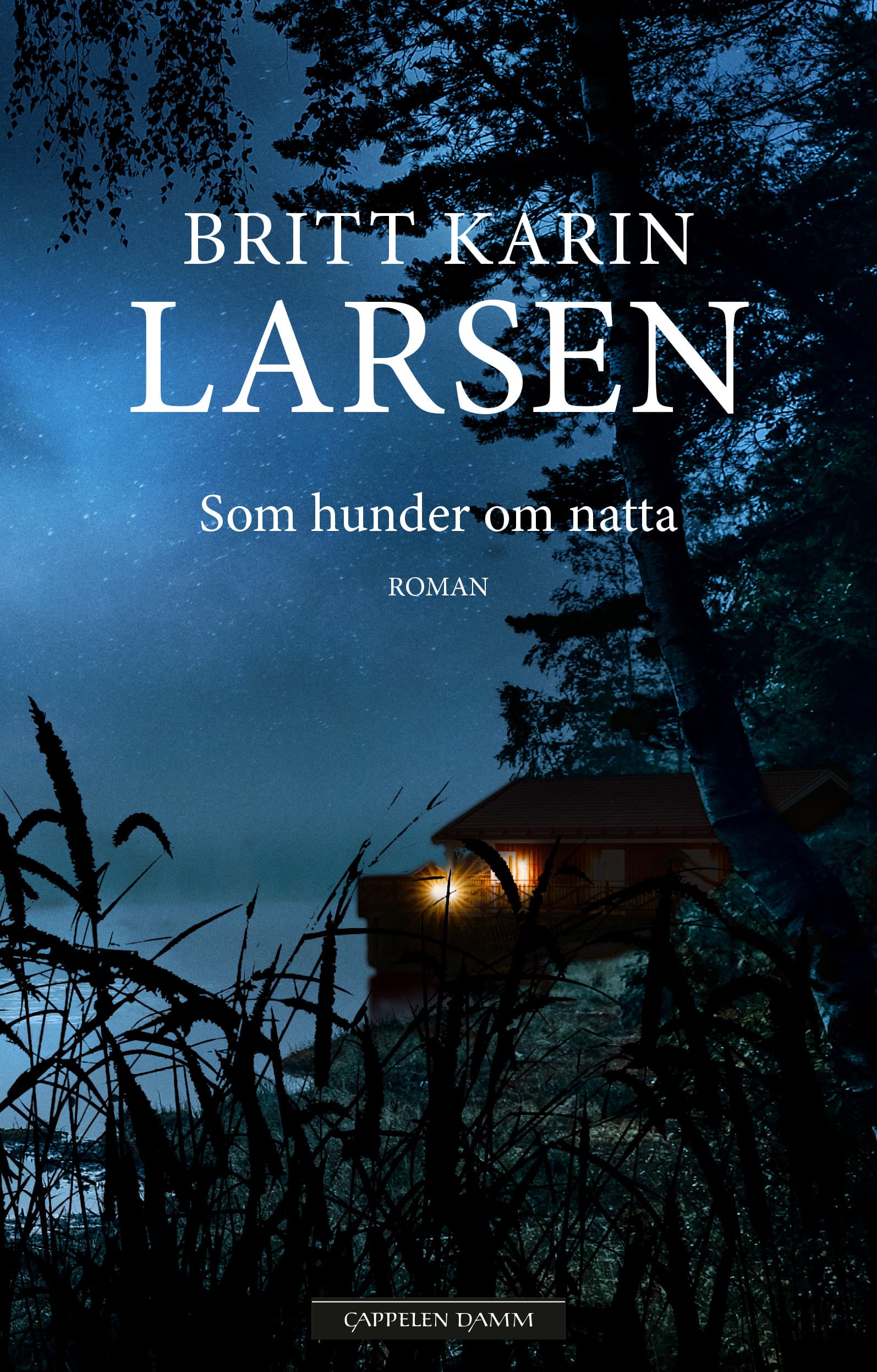 Omslag Som hunder om natta av Britt Karin Larsen (Ebok)