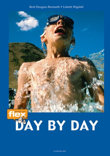 Flex Day by Day