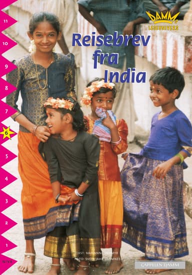 Damms leseunivers 1: Reisebrev fra India