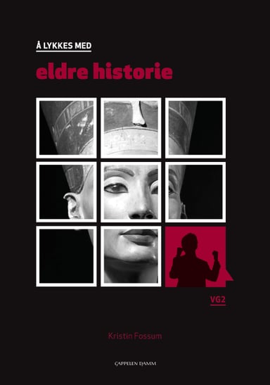 Omslag av "Å lykkes med eldre historie"