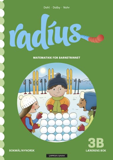 Radius 3B Lærerens bok
