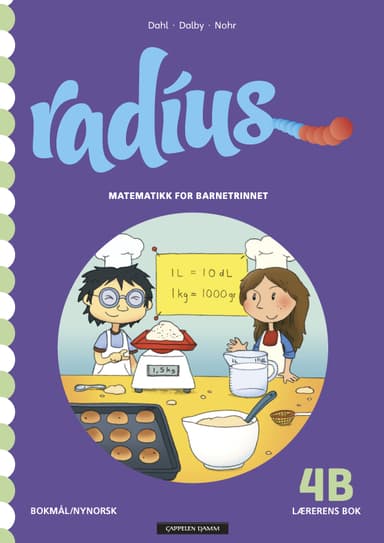 Radius 4B Lærerens bok