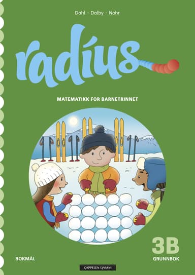 Radius 3B Grunnbok