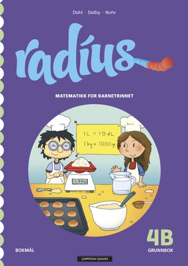 Radius 4B Grunnbok