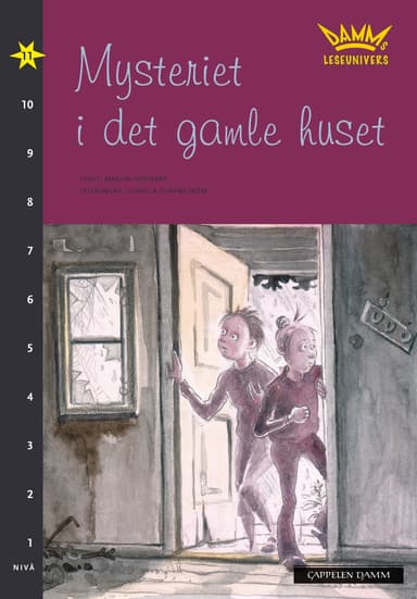 Damms leseunivers 1: Mysteriet i det gamle huset