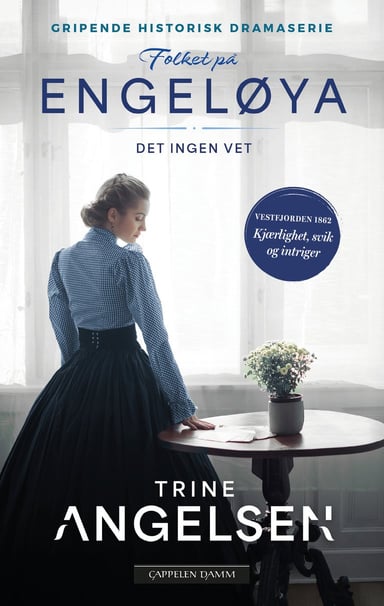 Omslag av "Det ingen vet"