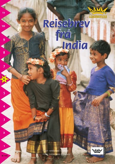 Damms leseunivers 1: Reisebrev frå India