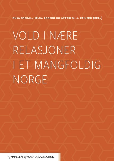 Omslag av "Vold i nære relasjoner i et mangfoldig Norge"