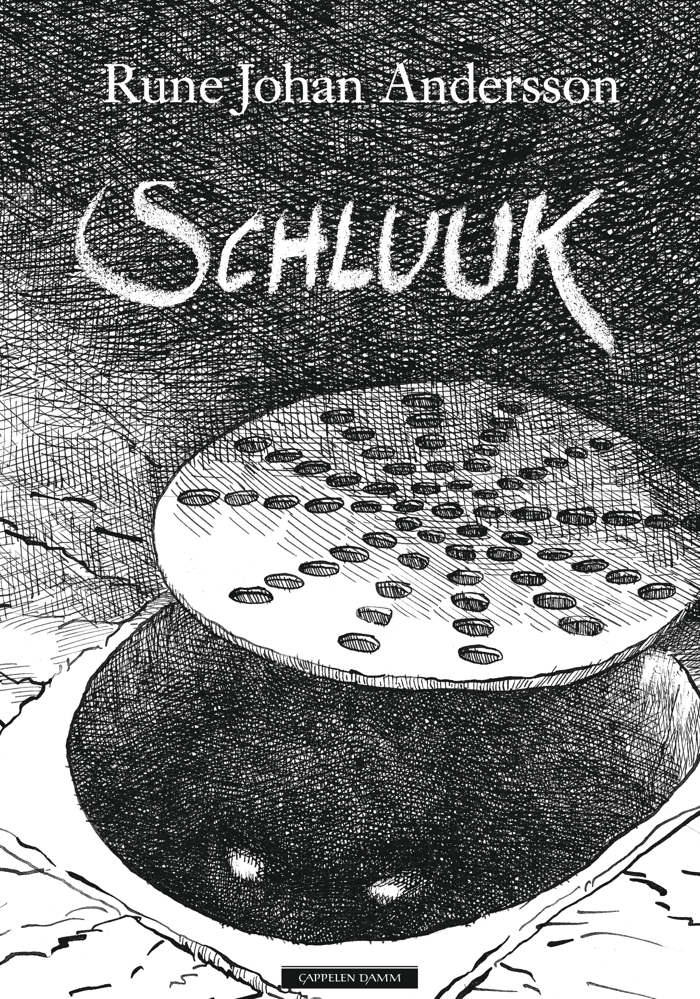 Omslag Schluuk av Rune Johan Andersson (Innbundet)
