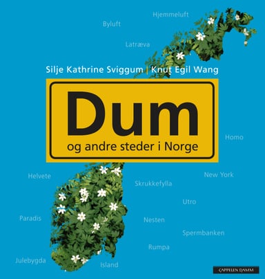 Omslag av "Dum"