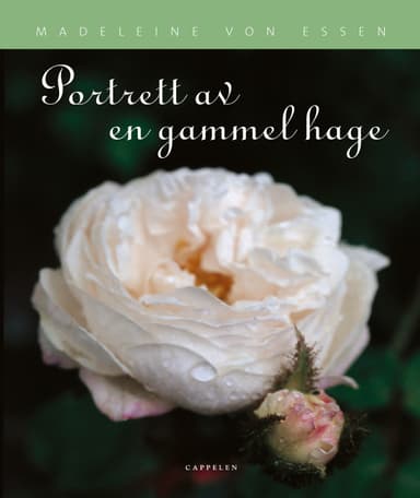 Portrett av en gammel hage