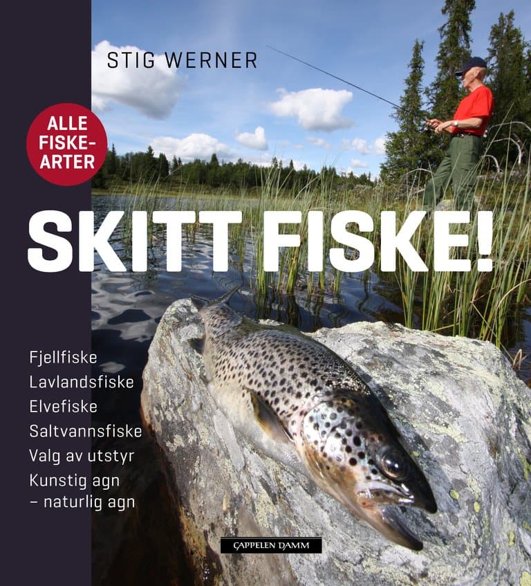 Omslag Skitt fiske! av Stig Werner (Innbundet)