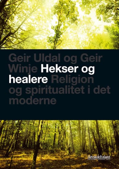 Hekser og healere