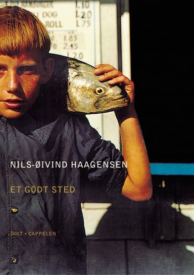 Omslag av "Et godt sted"